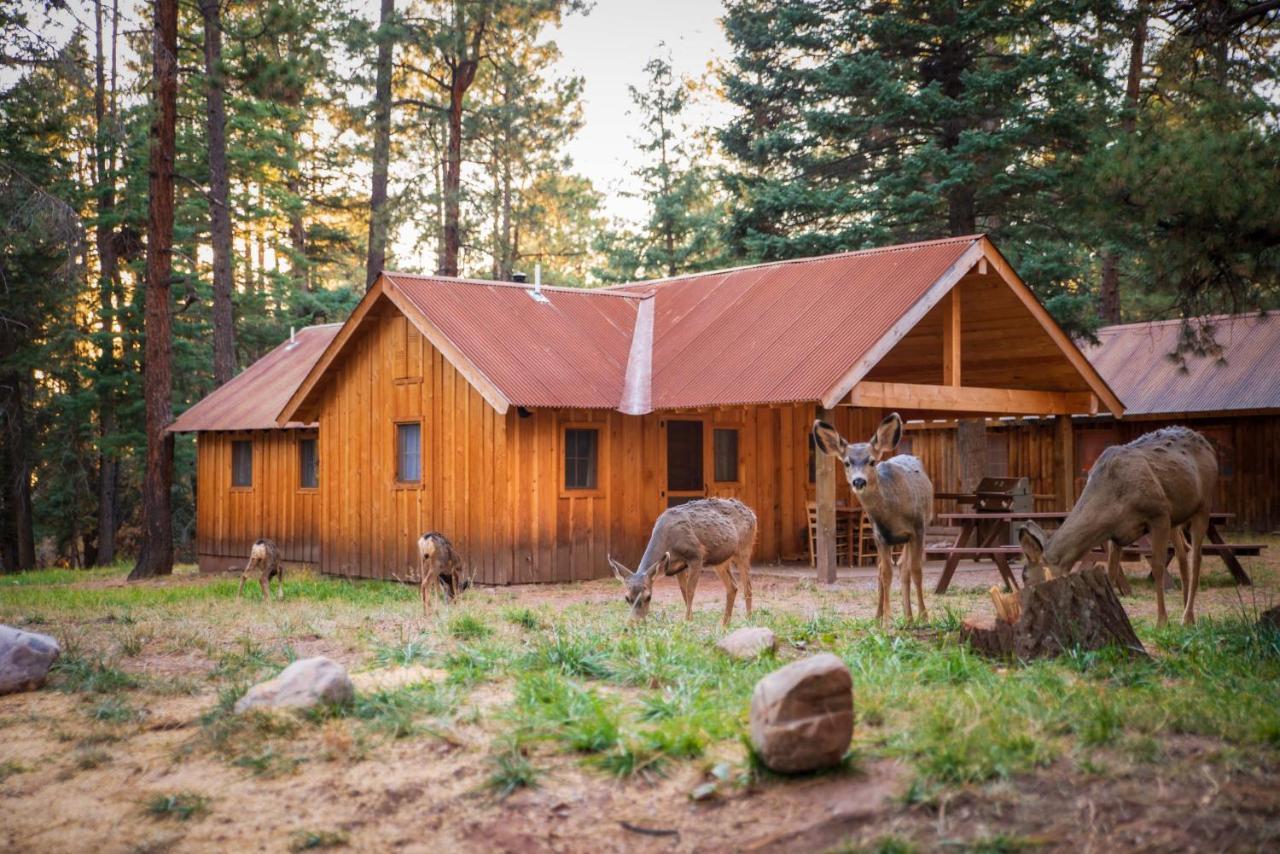 Corkins Lodge Chama المظهر الخارجي الصورة