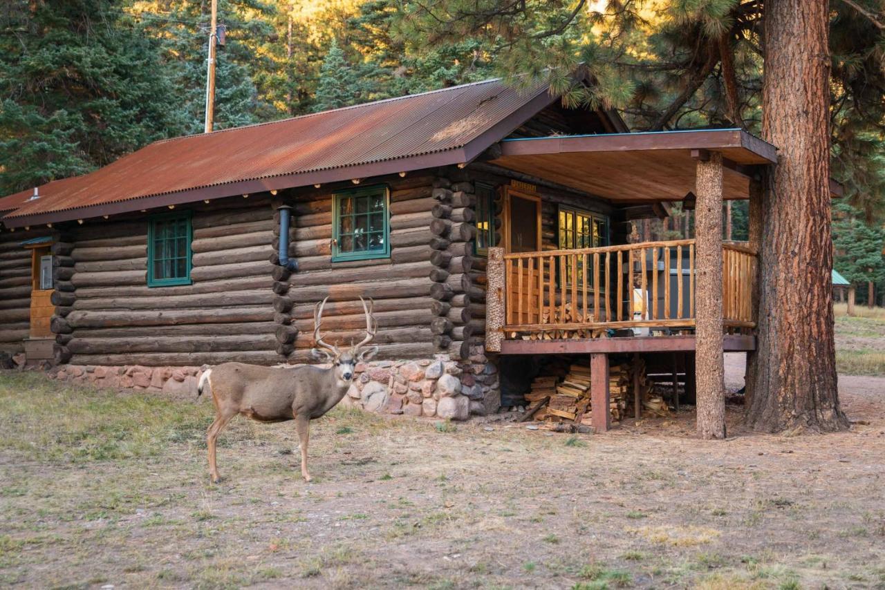 Corkins Lodge Chama المظهر الخارجي الصورة